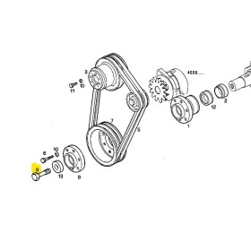 vite testa esag 36mm 24x1,5x73 puleggia albero motore  iveco 8823774