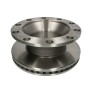 disco freno ventilato posteriore renault 5010525015 5010525362