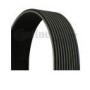 cinghia poly-v 10pk2475 scania 1920231 1529222