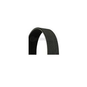 cinghia poly-v 10pk2475 scania 1920231 1529222