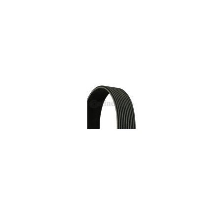 cinghia poly-v 10pk2475 scania 1920231 1529222