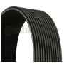 cinghia poly-v 12pk1835 iveco 504049426 504022568
