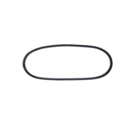 cinghia alternatore b64 17x1625 iveco 98493646 8111236