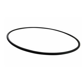 o ring/anello tenuta pompa acqua 370/380/420/440 iveco 98461200